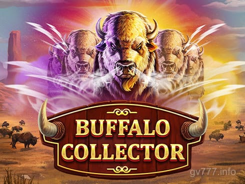 Buffalo Collector